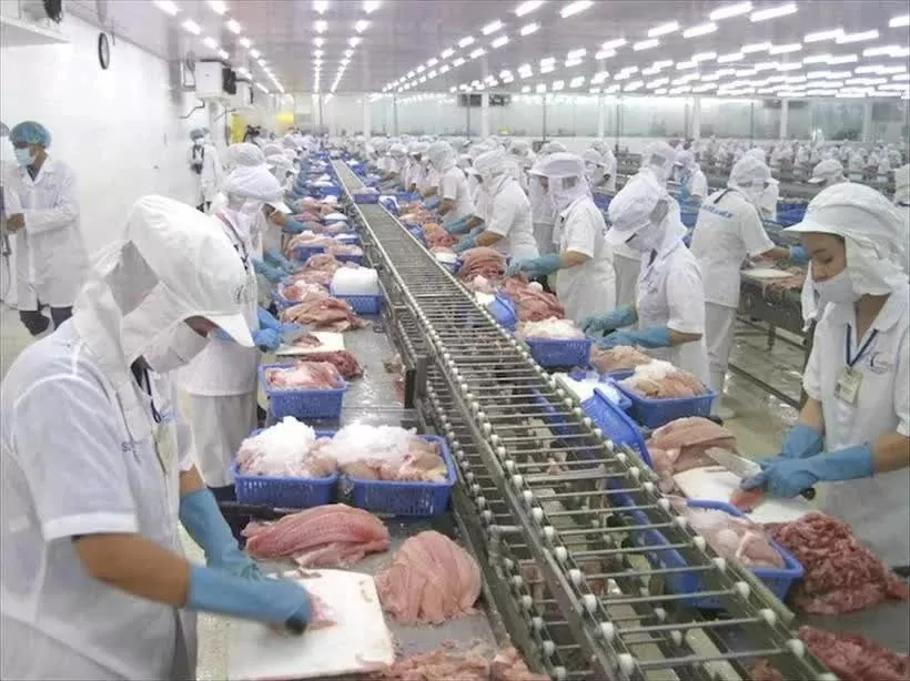 Vietnam acts fast to shield seafood exports amid US tariff