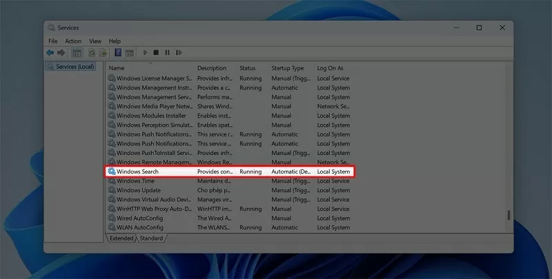 Tìm Windows Search