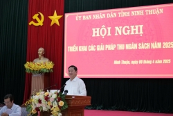 Ninh Thuận quyết tâm đạt chỉ tiêu thu ngân sách 5.500 tỷ đồng