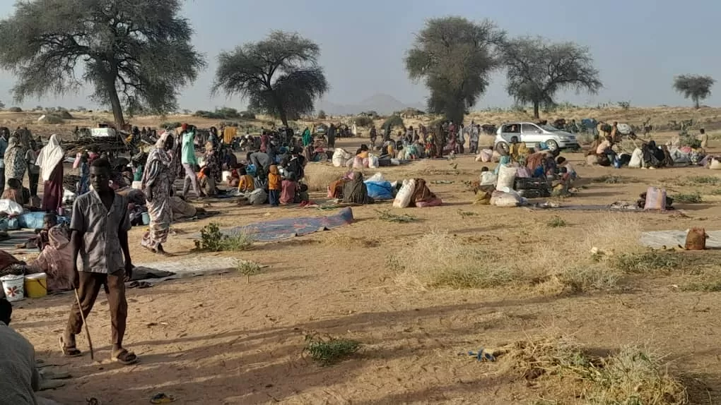 : Mỹ-Saudi Arabia kêu gọi hòa đàm, Anh hành động. alsudania.