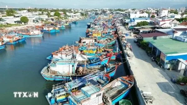 Binh Dinh province strengthens the fight against IUU fishing