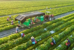 Sẽ tiến hành Tổng điều tra nông thôn, nông nghiệp năm 2025 từ ngày 1/7