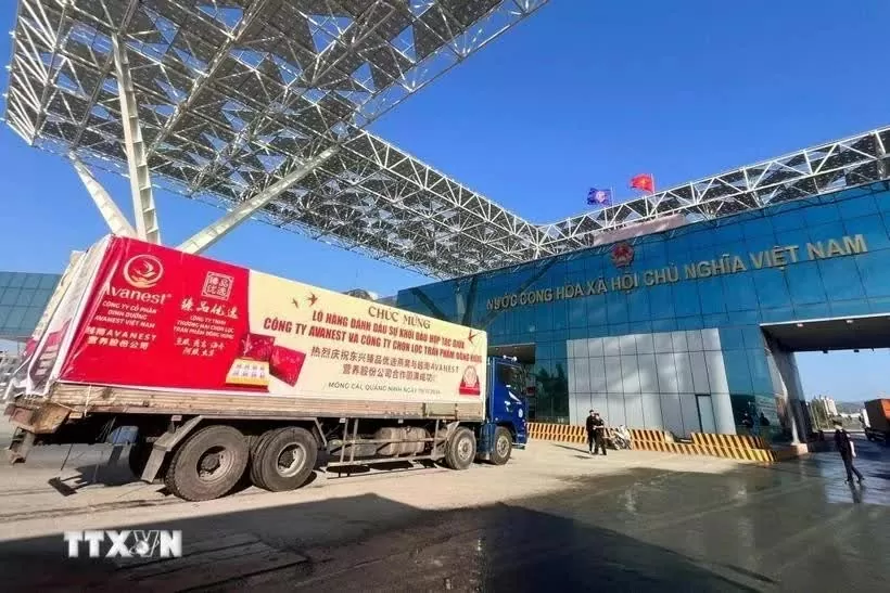 Vietnam-China economic and trade cooperation maintains strong growth momentum
