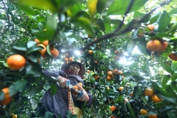 Trung Quốc 'tiếp sức' cho phụ nữ bị bỏ lại ở nông thôn