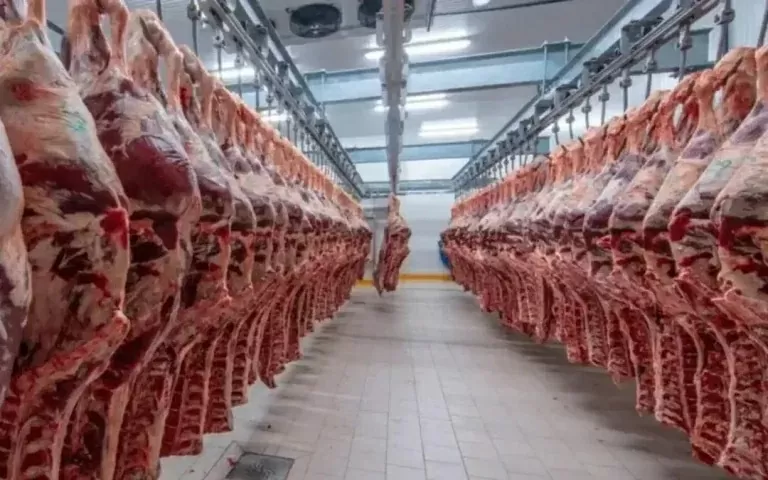 Sau khi nhận đơn đăng ký xuất khẩu, DVS và Sở Phát triển Hồi giáo sẽ kiểm tra từng nhà máy tại nước sở tại của các sản phẩm thịt và gia cầm trong đơn. (Nguồn: Shutterstock)
