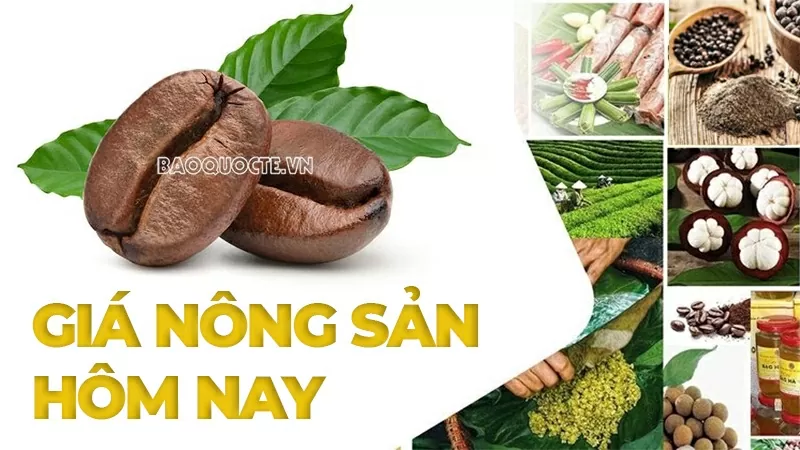 Giá nông sản hôm nay 2/5/2025: Giá cà phê thế giới 'đỏ lửa', Giá tiêu, Giá heo; Cơ hội mới vào thị trưởng tỷ dân?