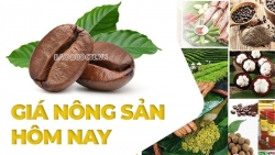 Giá nông sản hôm nay 25/4/2025: Giá cà phê đồng loạt 'lập đỉnh', Giá tiêu khởi sắc; Giá heo hơi giảm; Phía Mỹ bình luận về cuộc đàm phán thương mại