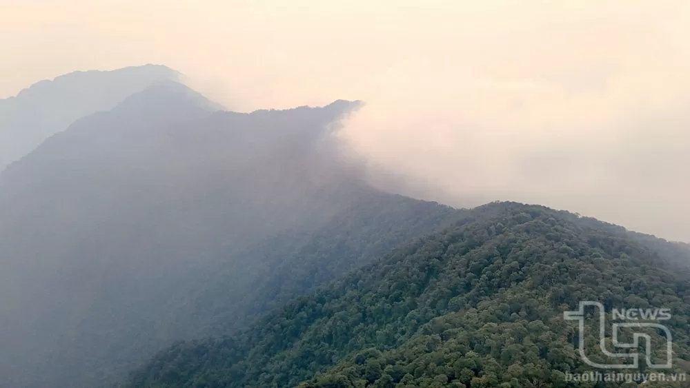 Vườn quốc gia Tam Đảo - Thiên đường xanh giữa mây ngàn Vườn quốc gia Tam Đảo - Thiên đường xanh giữa mây ngàn