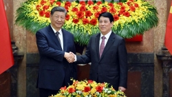 Chủ tịch nước Lương Cường hội đàm với Tổng Bí thư, Chủ tịch Trung Quốc Tập Cận Bình