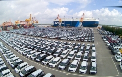 Doanh số ô tô tháng 3/2025 tăng mạnh: Ô tô nhập khẩu vượt mặt xe lắp ráp trong nước