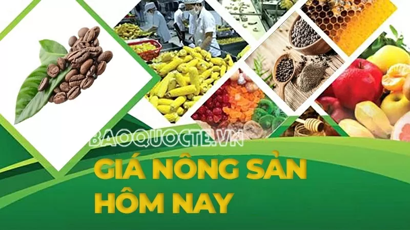 Giá nông sản hôm nay 22/4/2025: Giá cà phê arabica giảm sâu, Giá tiêu xuất khẩu lợi thế, Giá heo tăng ở miền Nam; Lo ngại nhu cầu cà phê giảm mạnh