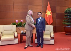 Phó Thủ tướng Bùi Thanh Sơn tiếp Quốc vụ khanh Bộ Ngoại giao Đan Mạch Lina Hansen