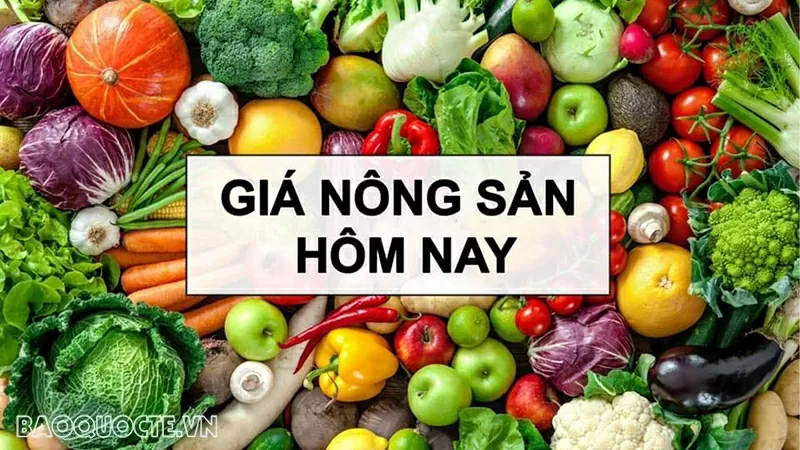 Giá nông sản hôm nay 1/9/2025: Giá cà phê
