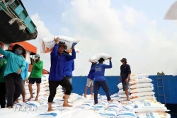 US tariff threat leads Vietnam to seek agricultural growth scenarios