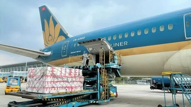 Aviation industry soars back to pre-pandemic levels