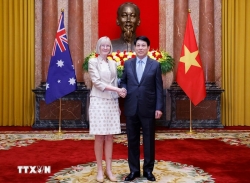 Chủ tịch nước tiếp Đại sứ các nước trình Quốc thư, nhận nhiệm vụ tại Việt Nam