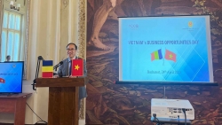 Việt Nam-Romania: Nhanh chóng hiện thực hóa mục tiêu 1 tỷ USD kim ngạch thương mại song phương
