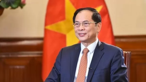 Deputy PM, FM Bui Thanh Son gives interview to Russian media on 75-year Vietnam–Russia relations