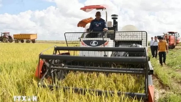 Vietnam stands in support of Cuba's efforts to ensure food security