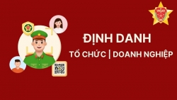Cách đăng ký định danh tổ chức trên VNeID đơn giản nhất