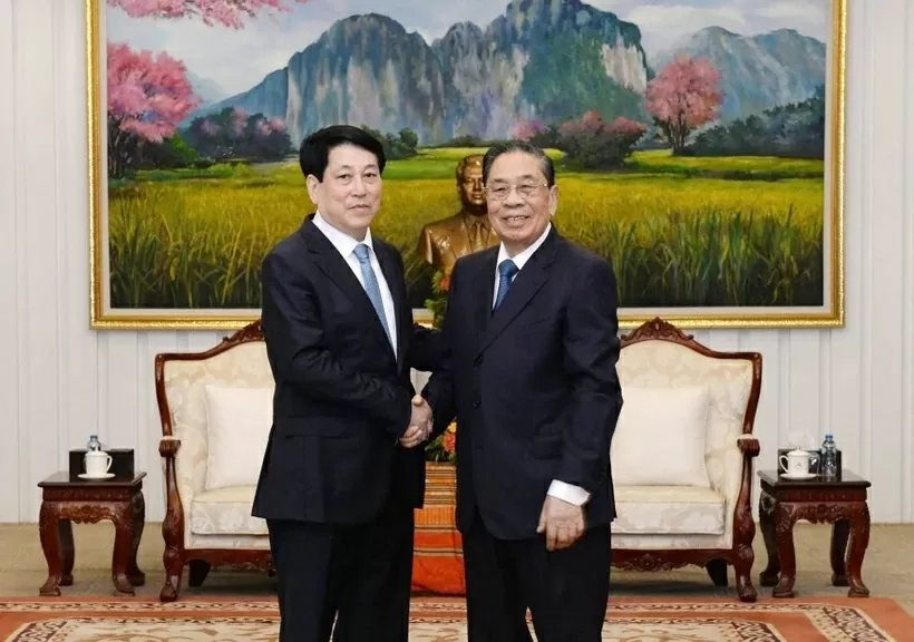 Vietnam-Laos relations vital to revolutionary cause in each country: President Luong Cuong