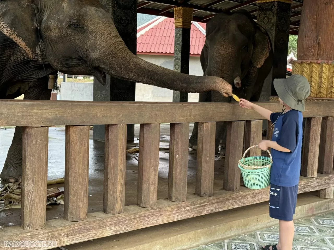 Lang thang Luang Prabang (Lào)