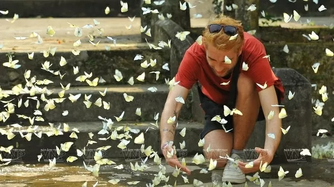 Wildlife conservation tours highlight responsible ecotourism