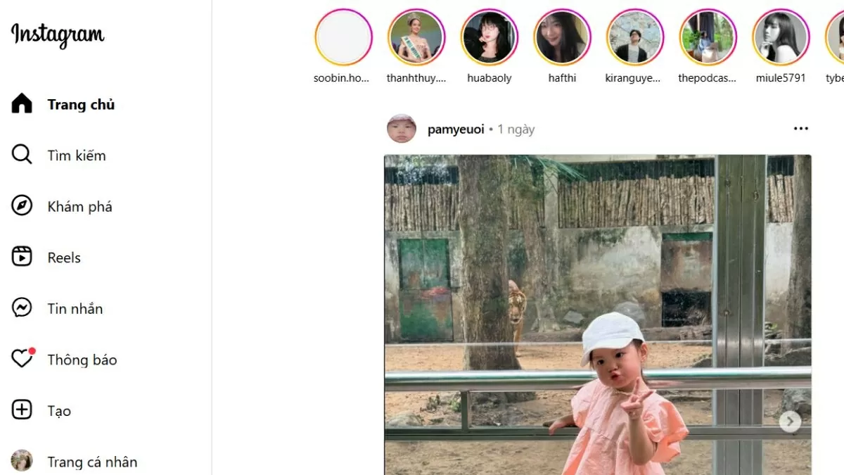 Vào trang web Instagram