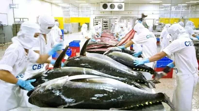 EC delays Vietnam’s seafood inspection until year end: MAE