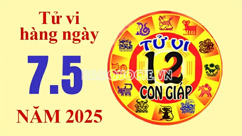 Tử vi hôm nay, xem tử vi 12 con giáp hôm nay ngày 7/5/2025: Tuổi Tỵ làm ăn thành đạt