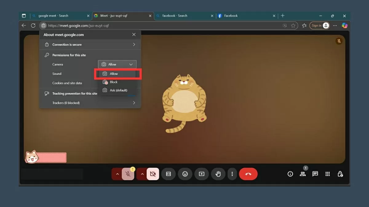 Chắc chắn rằng bạn đã chọn “Allow”