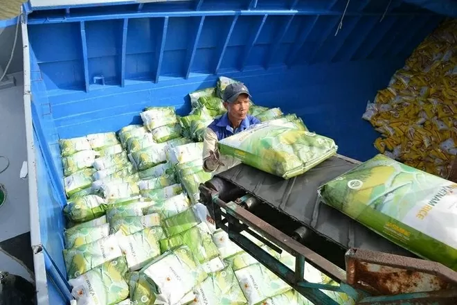 Prime Minister Pham Minh Chinh urges actions to safeguard agricultural production, export