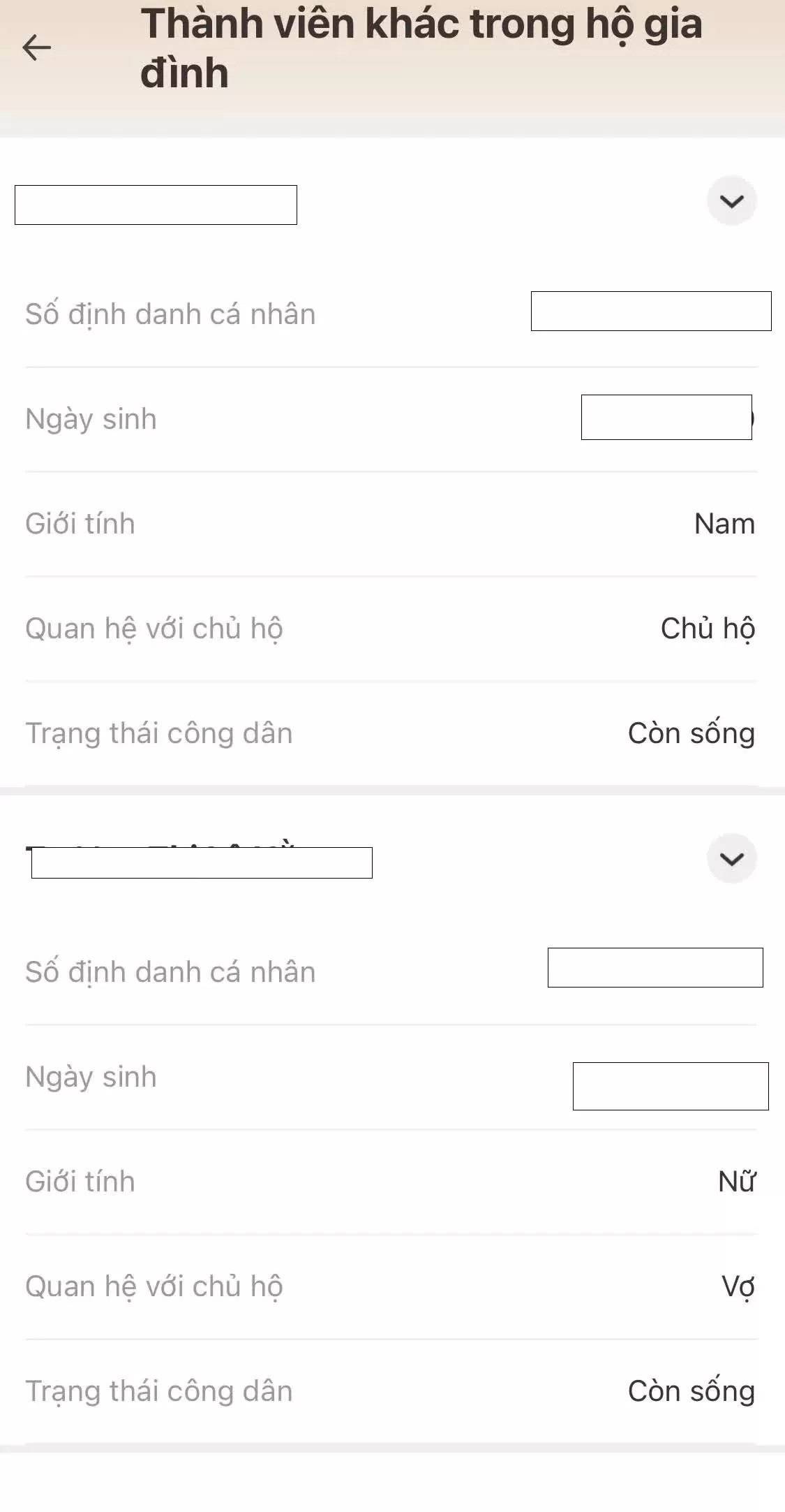 Hướng dẫn cách xem hộ khẩu điện tử trên VNeID mới nhất