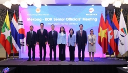 Việt Nam khẳng định cam kết chủ động đóng góp thúc đẩy hợp tác Mekong-Hàn Quốc