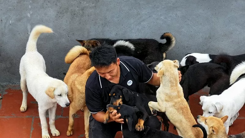 Ảnh 2: Anh Mua Mì Say thường chơi đùa cùng với đàn chó mỗi khi chăm sóc các bạn (Ảnh:NVCC). Ảnh 2: Anh Mua Mì Say thường chơi đùa cùng với đàn chó mỗi khi chăm sóc các bạn (Ảnh:NVCC).