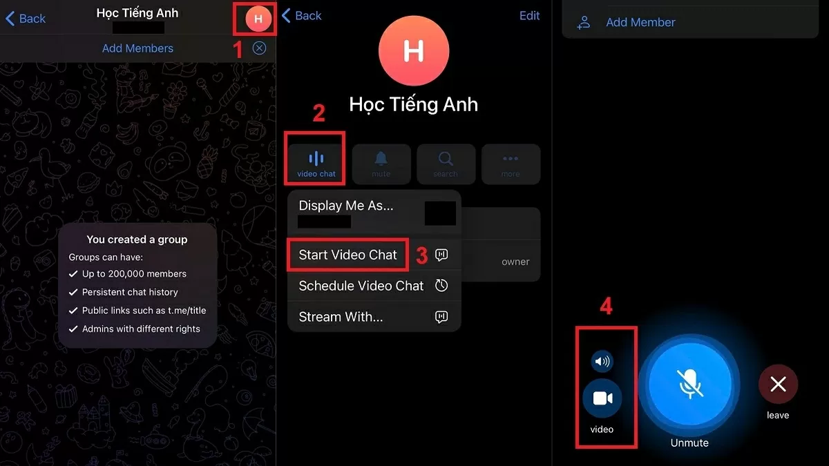 Nhấn vào ảnh đại diện nhóm, chọn mục “Video Chat”.