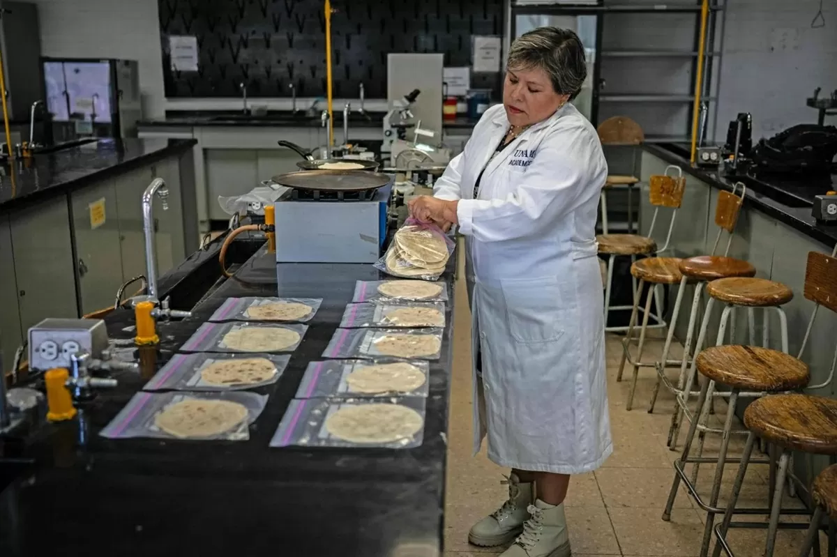 Các nhà khoa học Mexico phát triển bảo quản bánh Tortilla cho những người không có tủ lạnh