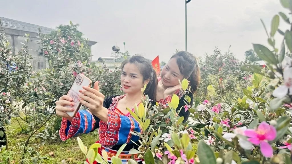 The Border Sim Flower Festival to open Mong Cai city