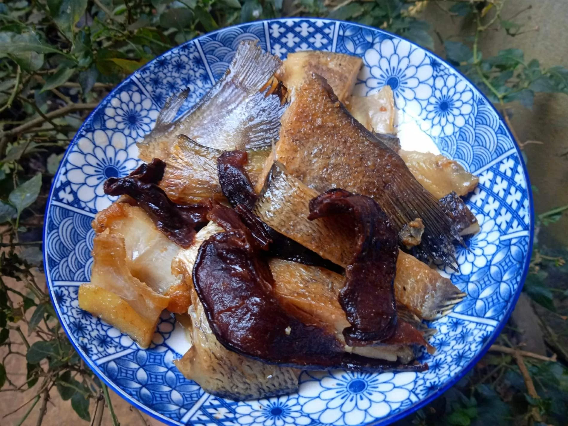 Đặc sản ‘trời ban’ được bà con vùng cao ‘săn đón’