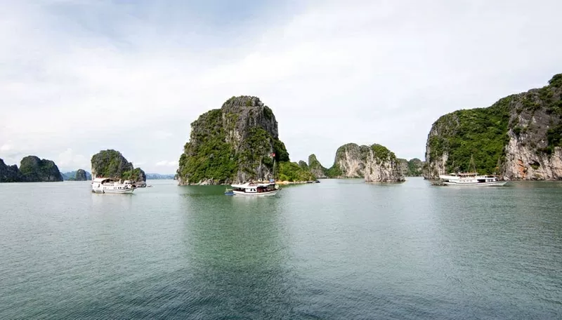 Hòn Cỏ - ‘ốc đảo xanh’ giữa vùng lõi Vịnh Hạ Long