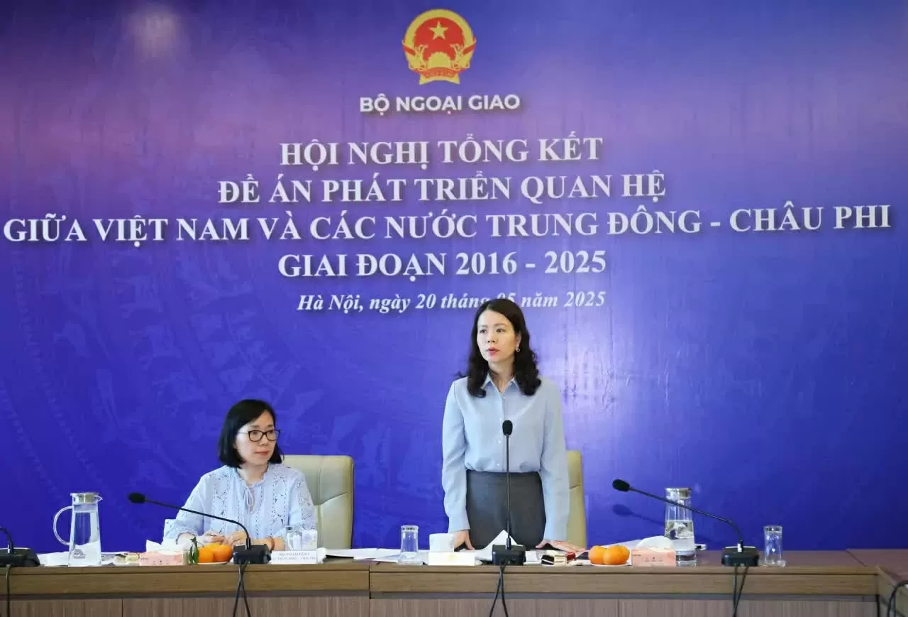Deepening and comprehensively strengthening diplomatic relations between Vietnam and Middle Eastern and African countries