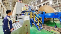 Thị trường xuất khẩu xanh và bền vững là 'mỏ vàng' đầy tiềm năng, doanh nghiệp cần làm gì để khai thác?