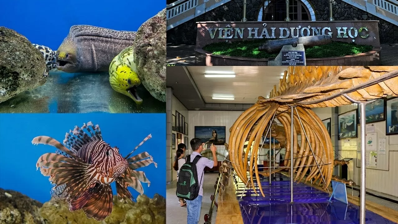 Nha Trang – điểm đến biển đảo hấp dẫn toàn cầu mùa Hè 2025