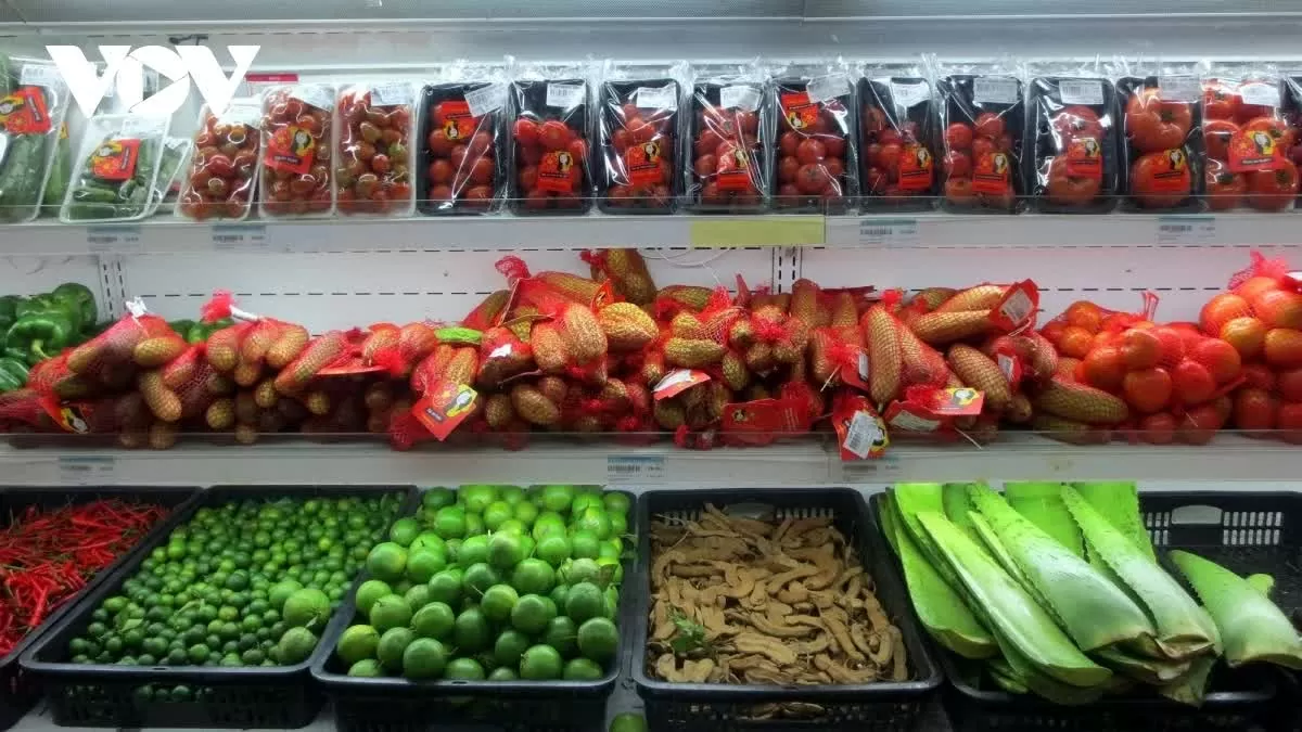 Sức ép thuế quan từ Mỹ, doanh nghiệp xuất khẩu hướng đến thị trường Đức