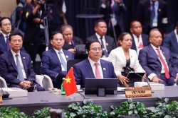 Việt Nam - Mảnh ghép quan trọng giúp ASEAN vững mạnh