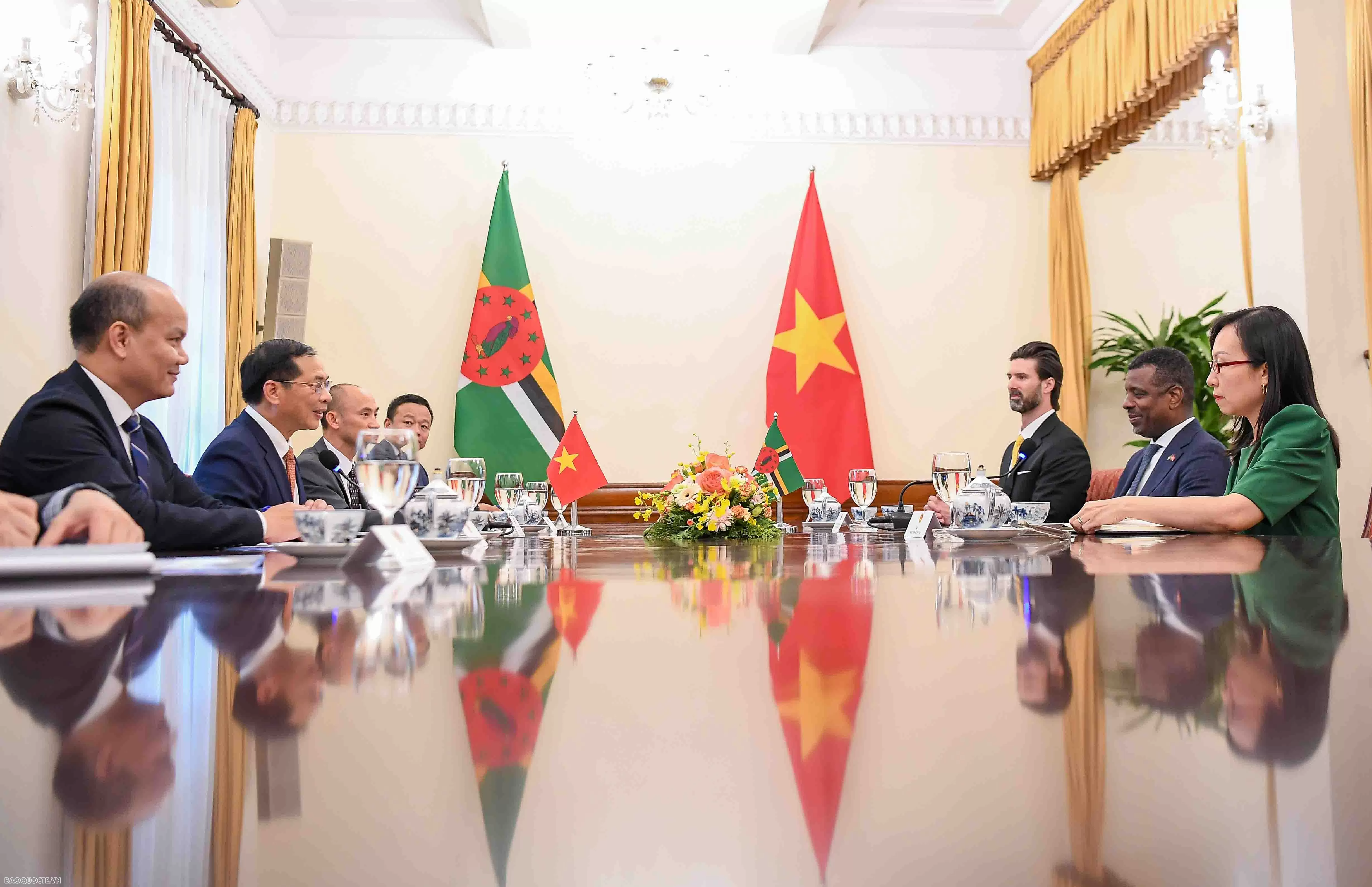 Phó Thủ tướng, Bộ trưởng Ngoại giao Bùi Thanh Sơn đón, hội đàm với Bộ trưởng Ngoại giao Dominica