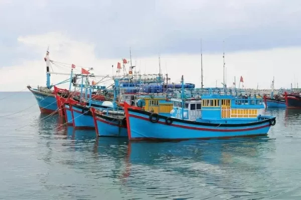 Ben Tre province cracks down on IUU fishing to lift EC’s yellow card