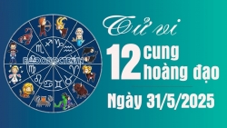 Tử vi 12 cung hoàng đạo Thứ Bảy ngày 31/5/2025: Sư Tử đào hoa khởi vượng