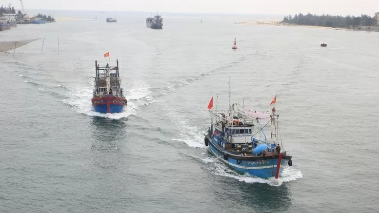 Quang Tri intensifies IUU fishing prevention, ensuring sustainable fisheries