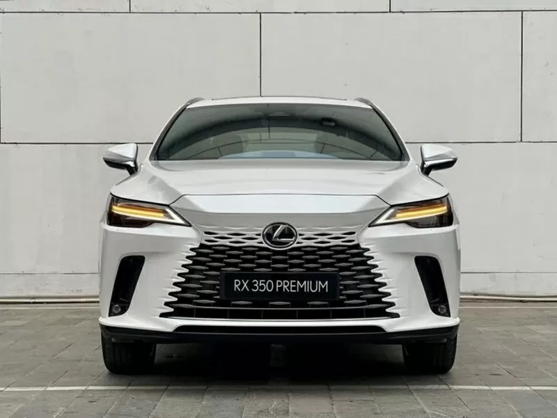 Lexus RX 350h vận hành ổn định trên nhiều địa hình khác nhau